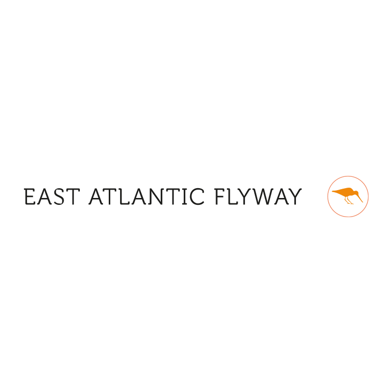 East Atlantic Flyway