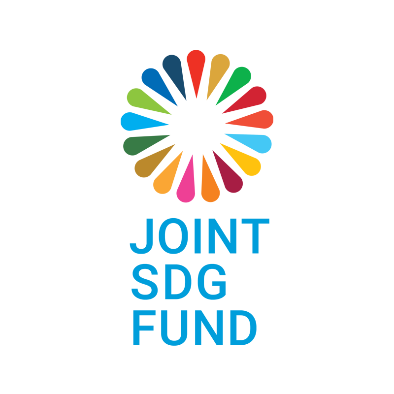 Logo Joint SDG Fund